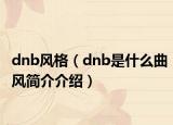 dnb风格（dnb是什么曲风简介介绍）