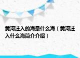 黄河注入的海是什么海（黄河注入什么海简介介绍）