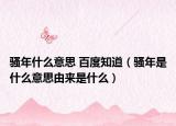 骚年什么意思 百度知道（骚年是什么意思由来是什么）