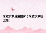 米歇尔多尼兰图片（米歇尔多明戈斯）