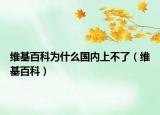 维基百科为什么国内上不了（维基百科）