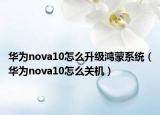 华为nova10怎么升级鸿蒙系统（华为nova10怎么关机）
