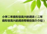 小学二年级形容高兴的词语（二年级形容高兴的词语有哪些简介介绍）