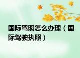 国际驾照怎么办理（国际驾驶执照）
