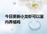 今日更新小龙虾可以室内养殖吗