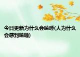 今日更新为什么会瞌睡(人为什么会感到瞌睡)