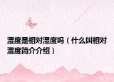 湿度是相对湿度吗（什么叫相对湿度简介介绍）