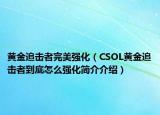 黄金追击者完美强化（CSOL黄金追击者到底怎么强化简介介绍）