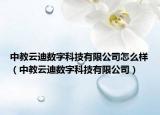 中教云迪数字科技有限公司怎么样（中教云迪数字科技有限公司）