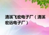 清溪飞宏电子厂（清溪宏远电子厂）
