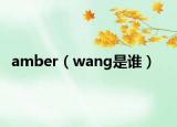 amber（wang是谁）