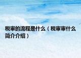 税审的流程是什么（税审审什么简介介绍）