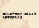 黑龙江省会是哪里（黑龙江的省会在哪里简介介绍）
