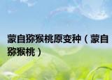 蒙自猕猴桃原变种（蒙自猕猴桃）