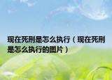 现在死刑是怎么执行（现在死刑是怎么执行的图片）