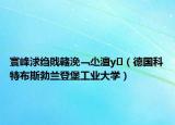寰峰浗绉戝竷浼﹁尐澶у（德国科特布斯勃兰登堡工业大学）