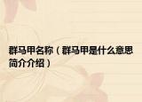 群马甲名称（群马甲是什么意思简介介绍）