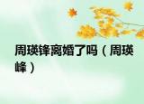 周瑛锋离婚了吗（周瑛峰）