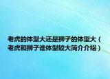 老虎的体型大还是狮子的体型大（老虎和狮子谁体型较大简介介绍）