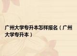 广州大学专升本怎样报名（广州大学专升本）