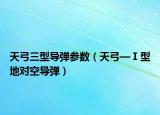 天弓三型导弹参数（天弓—Ⅰ型地对空导弹）