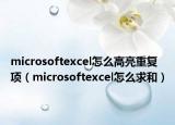 microsoftexcel怎么高亮重复项（microsoftexcel怎么求和）
