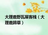 大理鹿野瓦屋客栈（大理鹿蹄草）