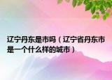 辽宁丹东是市吗（辽宁省丹东市是一个什么样的城市）
