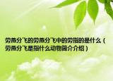 劳燕分飞的劳燕分飞中的劳指的是什么（劳燕分飞是指什么动物简介介绍）