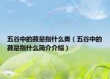 五谷中的菽是指什么类（五谷中的菽是指什么简介介绍）