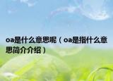 oa是什么意思呢（oa是指什么意思简介介绍）