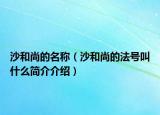 沙和尚的名称（沙和尚的法号叫什么简介介绍）
