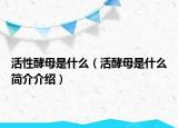活性酵母是什么（活酵母是什么简介介绍）