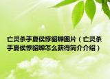亡灵杀手夏侯惇貂蝉图片（亡灵杀手夏侯惇貂蝉怎么获得简介介绍）