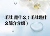 毛肚 是什么（毛肚是什么简介介绍）