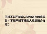 不精不诚不能动人这句名言的意思是（不精不诚不能动人意思简介介绍）
