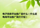 电子商务平台推广是什么（什么是电商平台推广简介介绍）