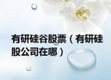 有研硅谷股票（有研硅股公司在哪）