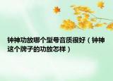 钟神功放哪个型号音质很好（钟神这个牌子的功放怎样）