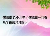 何鸿燊 几个儿子（何鸿燊一共有几个孩简介介绍）