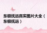 东极抚远真实图片大全（东极抚远）