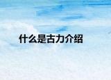 什么是古力介绍
