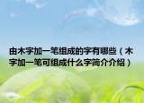 由木字加一笔组成的字有哪些（木字加一笔可组成什么字简介介绍）