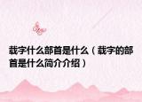 载字什么部首是什么（载字的部首是什么简介介绍）