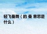 轻飞曼舞（的 曼 意思是什么）