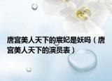 唐宫美人天下的宸妃是妖吗（唐宫美人天下的演员表）