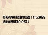形容忽然来到的成语（什么然而去的成语简介介绍）