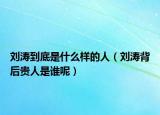 刘涛到底是什么样的人（刘涛背后贵人是谁呢）