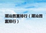 潮汕首富排行（潮汕首富排行）