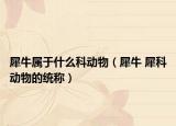 犀牛属于什么科动物（犀牛 犀科动物的统称）